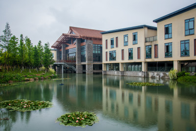 三垟湿地公园的北大门边的莲花池