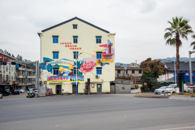 拍摄瓯海区郭溪村康宁路的新农村墙画艺术建筑。