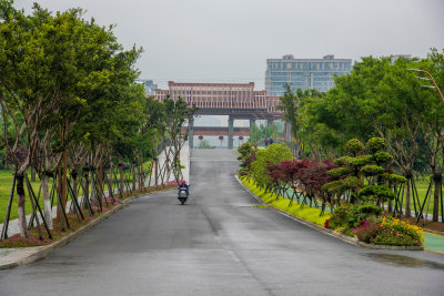 三垟湿地公园的北大门公路通道