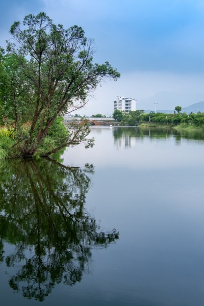生态水乡3