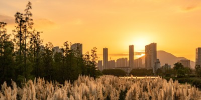 湿地印象5