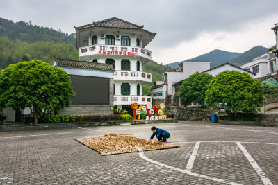 纸源村印象组照5