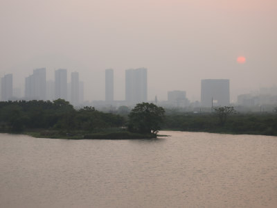 晚霞染湿地