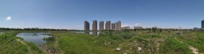 全景