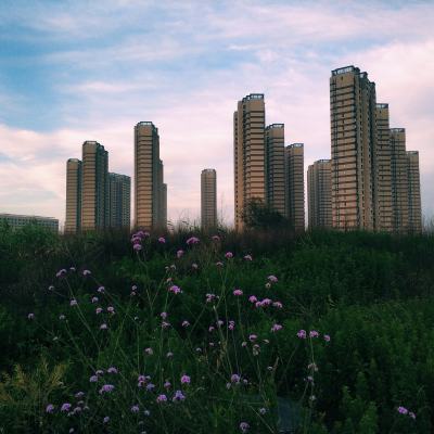 荒芜