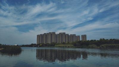 魅力天空