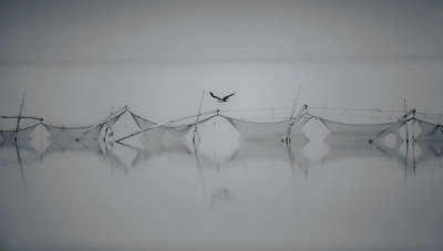 鹗