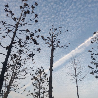 校园风光