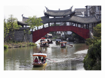 湿地乐园