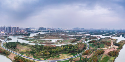 《鸟瞰湿地》组照4