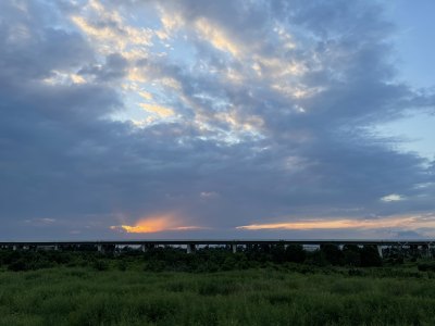 野草地上的一丝光