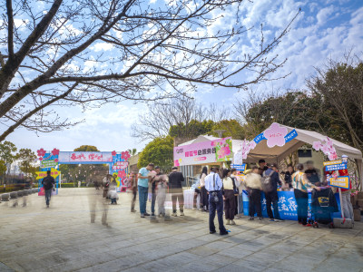 樱你而来-2