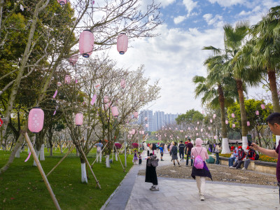 樱你而来-3