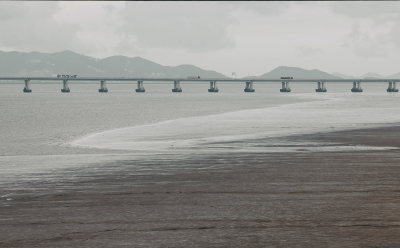 图五退潮后的涂滩全景
