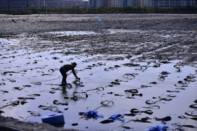 题目：烈日下的建设者。说明：8月16日拍摄于工贸学院新校区施工地，中午烈日下工作的建筑工人。