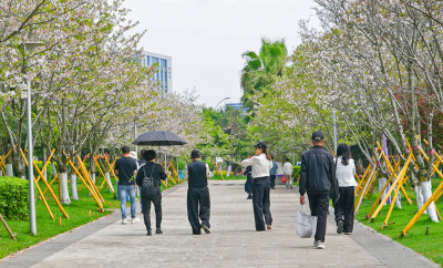 休闲散步