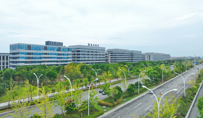 道路春季