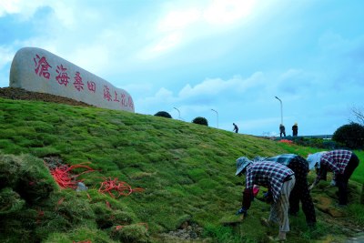 海上花园建设者