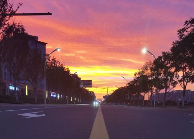 头放在地上看夕阳