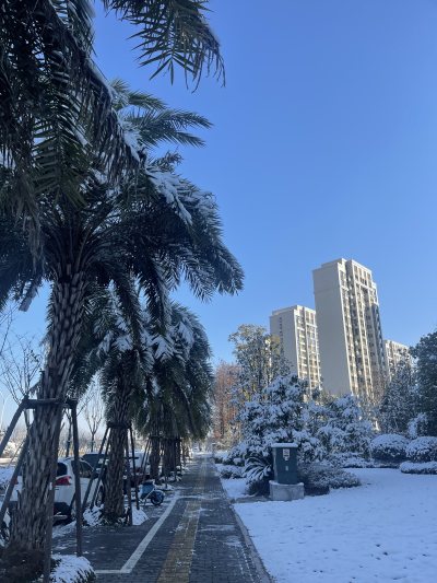 家门口这雪景