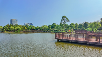 公园一角4