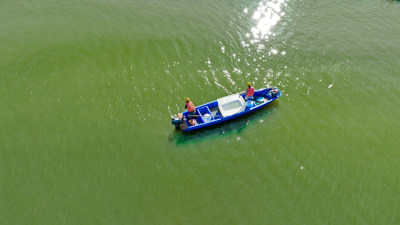 河道