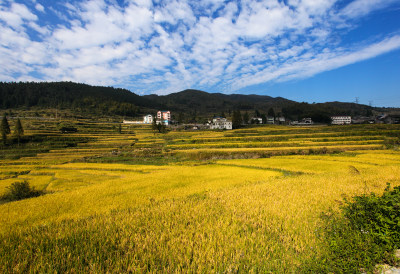 拍摄时间：2015年10月11日 拍摄地点：瓯海区泽雅镇布袋垟村