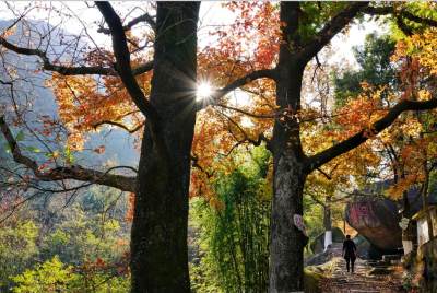 石岩屋红枫古道